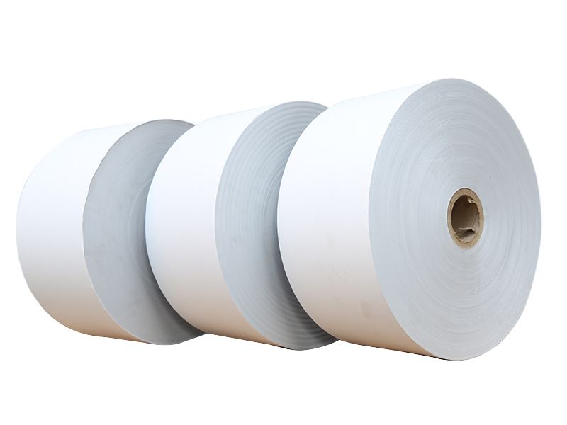 Poly Coated Paper-3